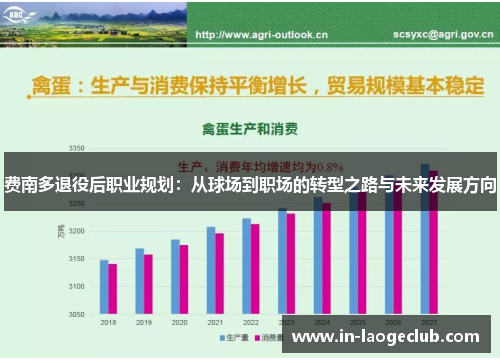 费南多退役后职业规划:从球场到职场的转型之路与未来发展方向 费南多退役后职业规划:从球场到职场的转型之路与未来发展方向