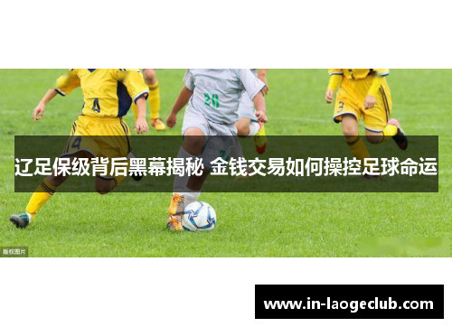 辽足保级背后黑幕揭秘 金钱交易如何操控足球命运 辽足保级背后黑幕揭秘 金钱交易如何操控足球命运
