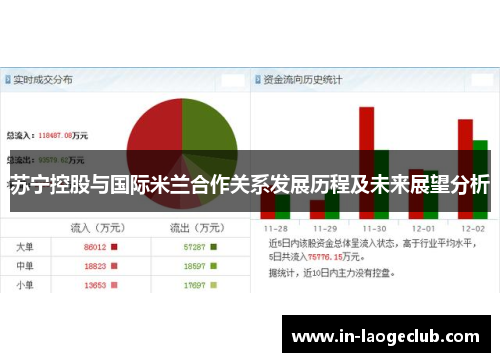 苏宁控股与国际米兰合作关系发展历程及未来展望分析