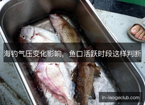 海钓气压变化影响，鱼口活跃时段这样判断
